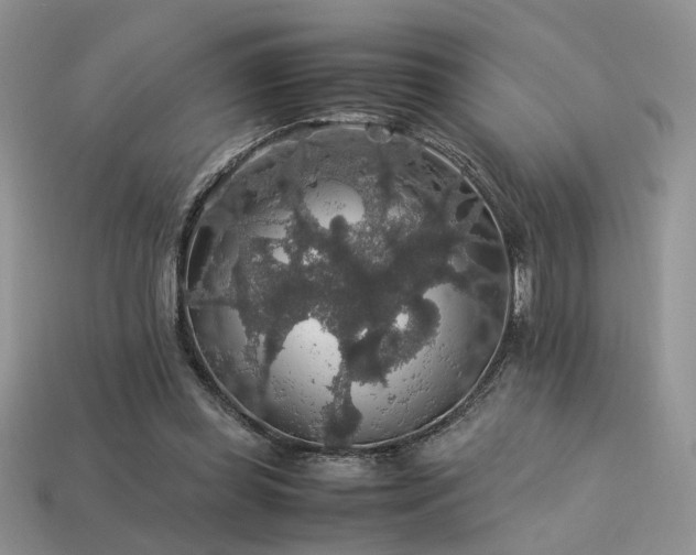 X0000113600349200909181356