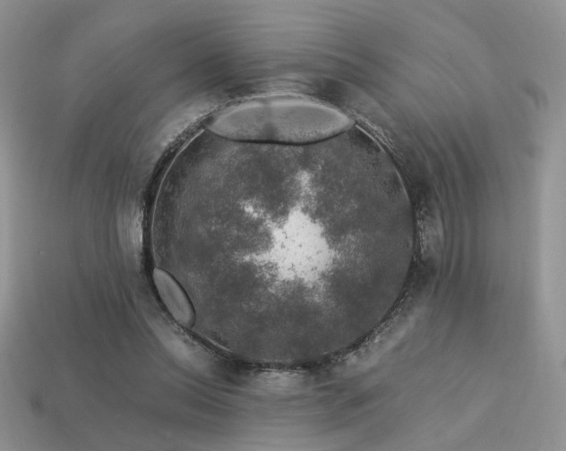 X0000113600350200909181356