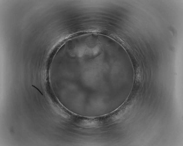 X0000113600351200909181356