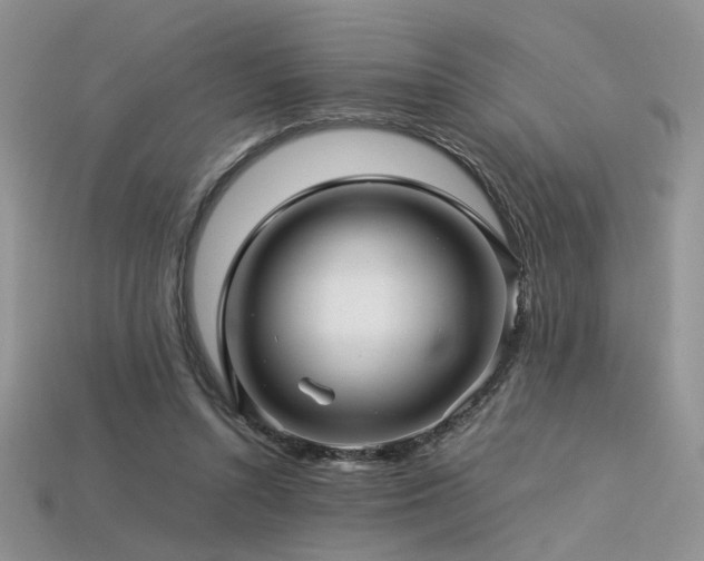 X0000113600352200909181356