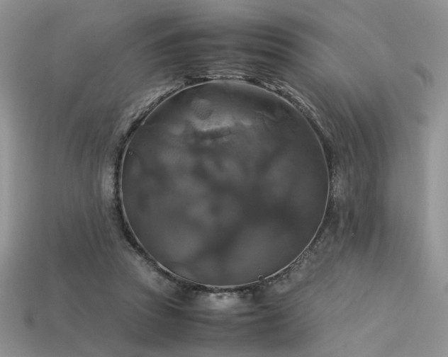 X0000113600353200909181356