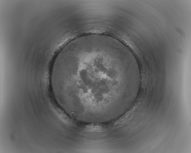 X0000113600354200909181356