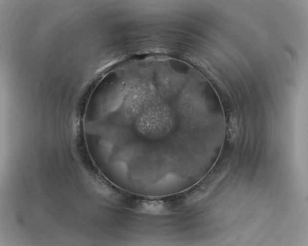 X0000113600355200909181356