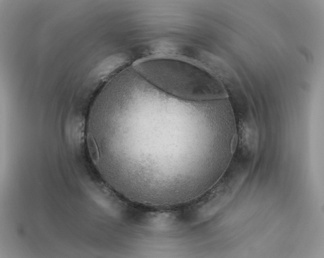 X0000113600356200909181356