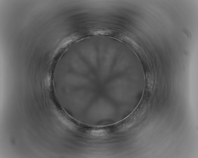 X0000113600357200909181356