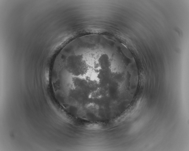 X0000113600358200909181356