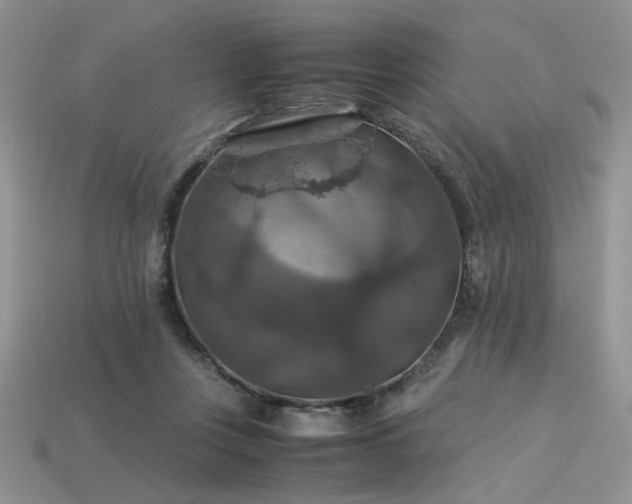 X0000113600359200909181356