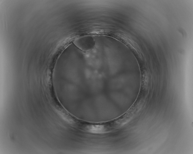 X0000113600361200909181356