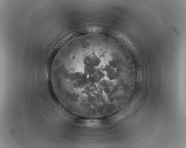 X0000113600363200909181356