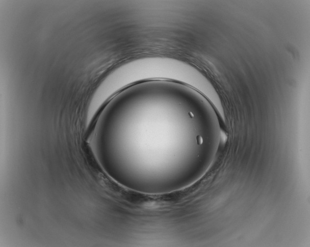 X0000113600364200909181356