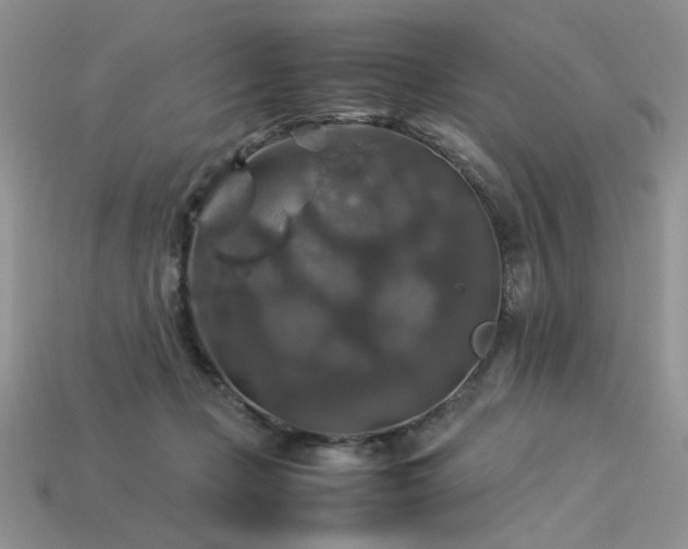 X0000113600365200909181356