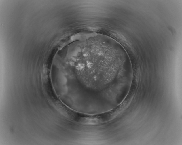 X0000113600366200909181356