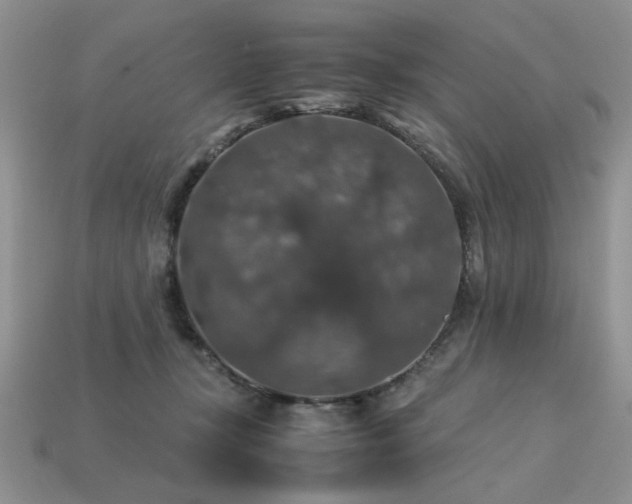 X0000113600367200909181356