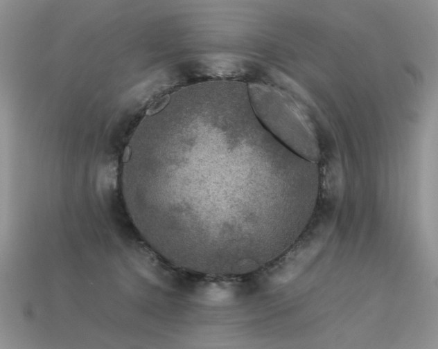 X0000113600368200909181356