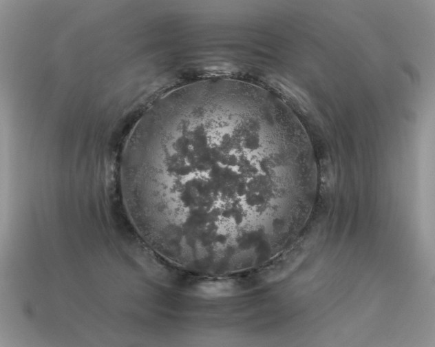 X0000113600369200909181356