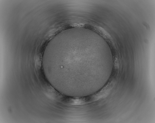 X0000113600370200909181356