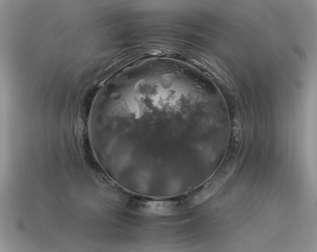 X0000113600371200909181356