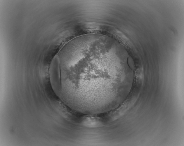 X0000113600372200909181356