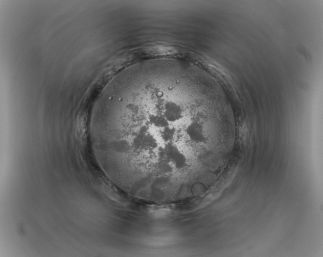 X0000113600373200909181356