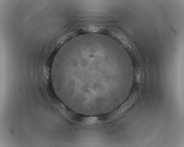 X0000113600374200909181357