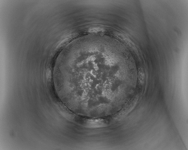 X0000113600375200909181357