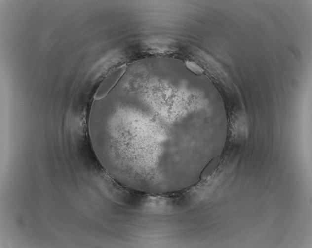 X0000113600376200909181357