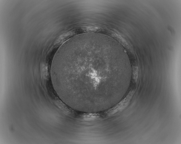 X0000113600378200909181357