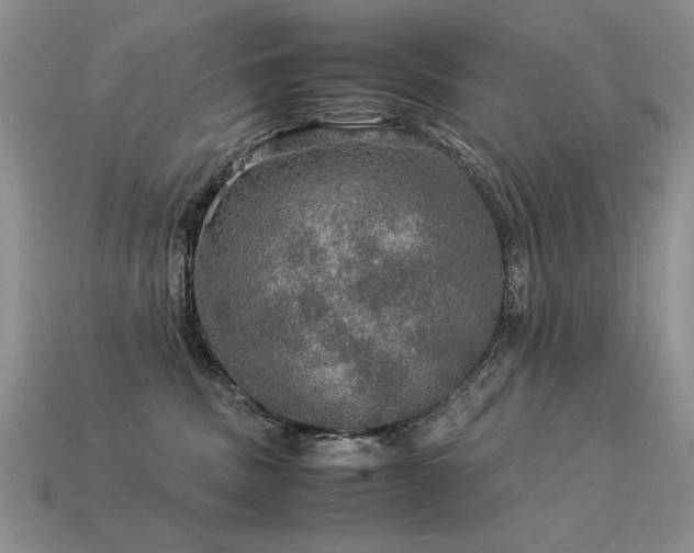 X0000113600379200909181357