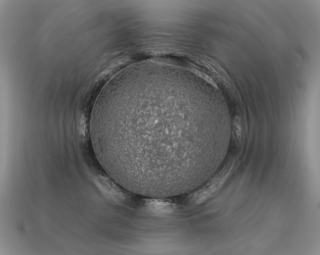 X0000113600380200909181357