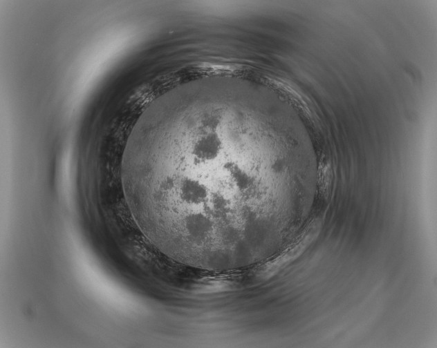 X0000113600381200909181357