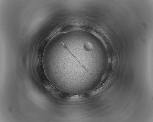 X0000113600382200909181357