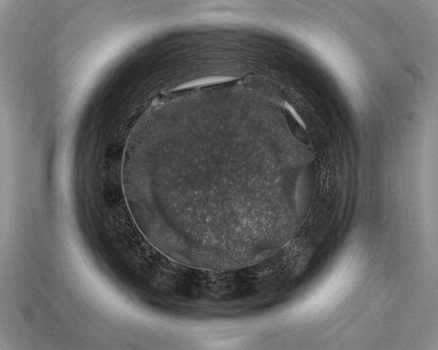 X0000113600383200909181357