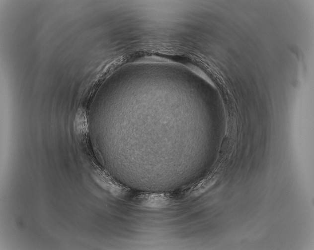 X0000113600384200909181357