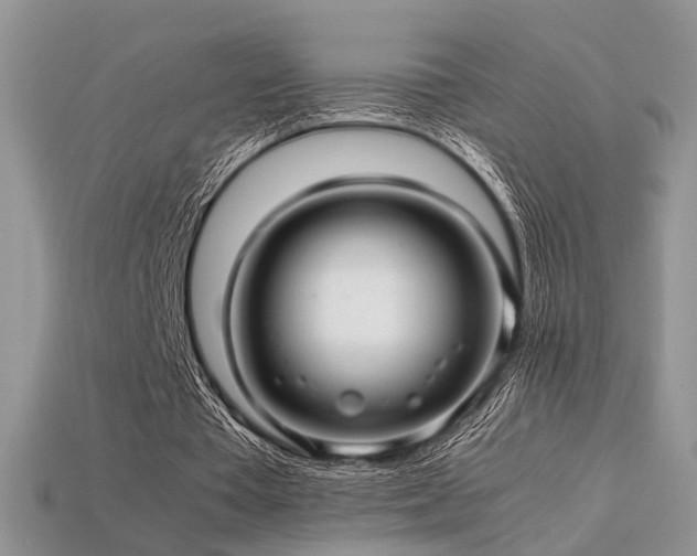 X0000113600385200909181356