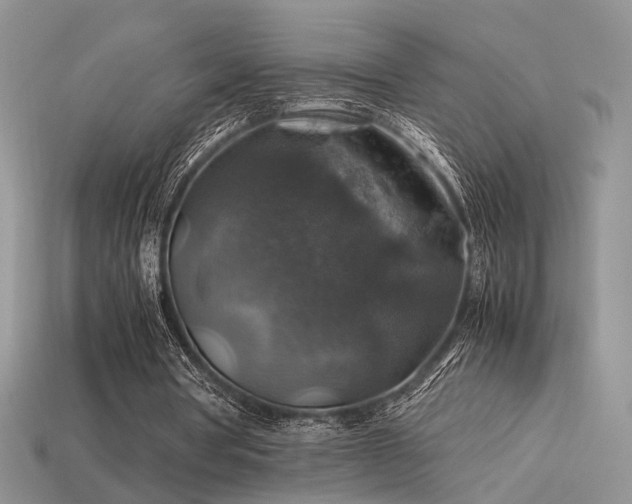 X0000113600386200909181356