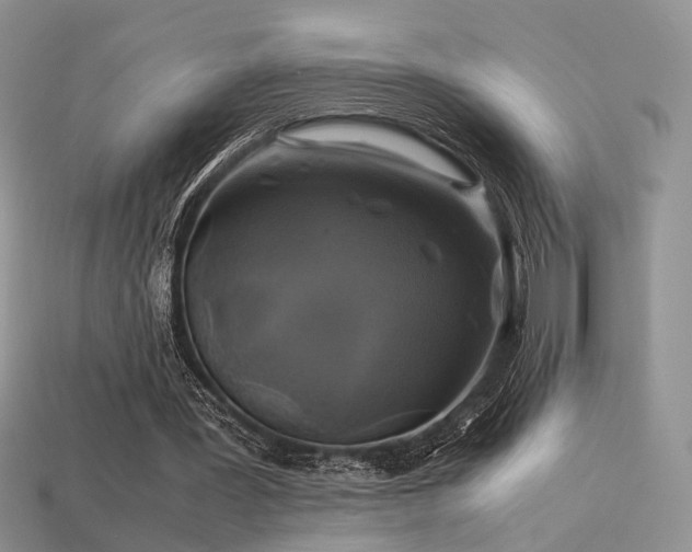 X0000113600387200909181356