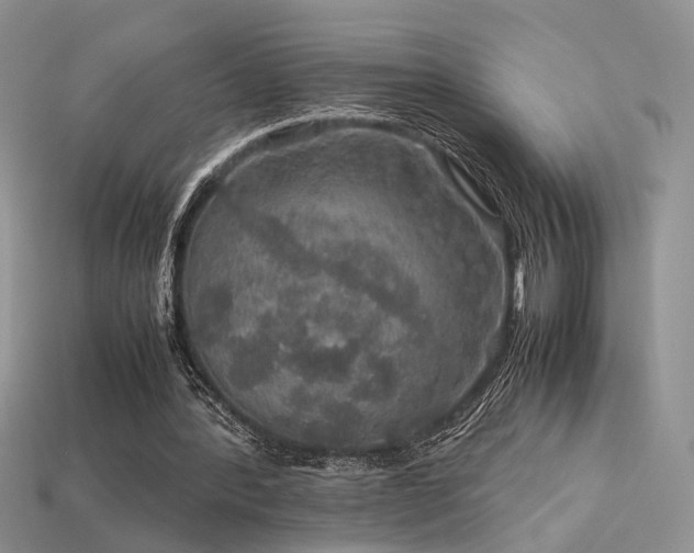 X0000113600388200909181356