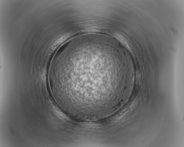 X0000113600389200909181356