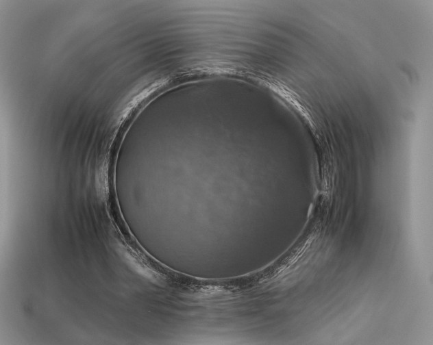 X0000113600390200909181356