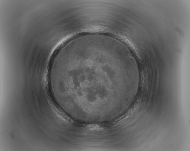 X0000113600392200909181356