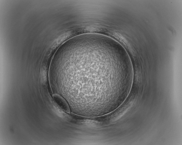 X0000113600393200909181356