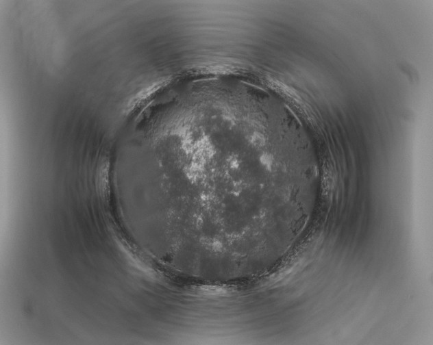 X0000113600394200909181356