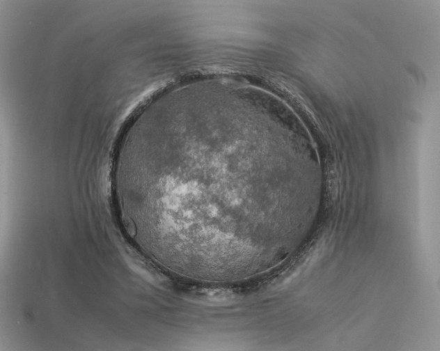 X0000113600395200909181356