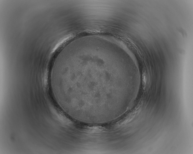 X0000113600396200909181356