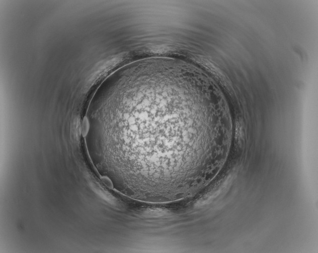 X0000113600397200909181356