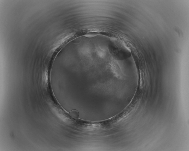 X0000113600398200909181356