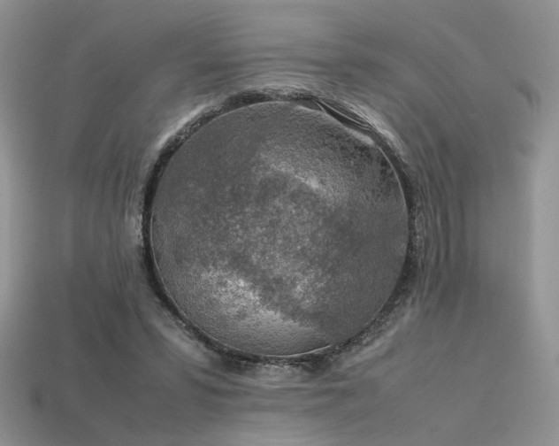 X0000113600399200909181356