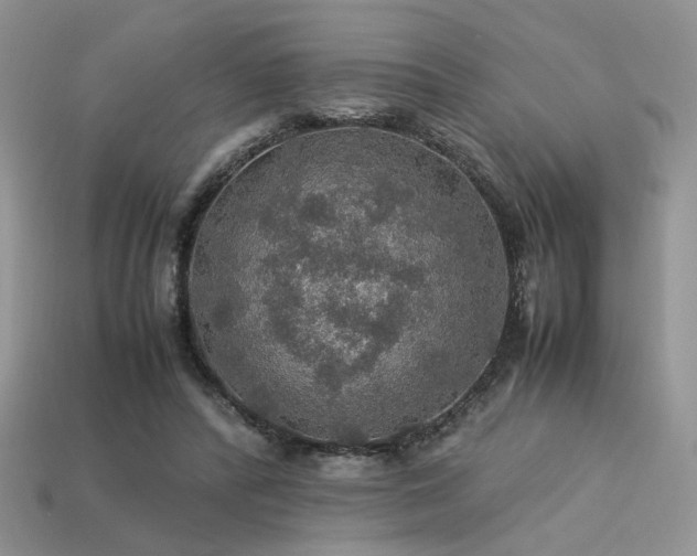 X0000113600400200909181356