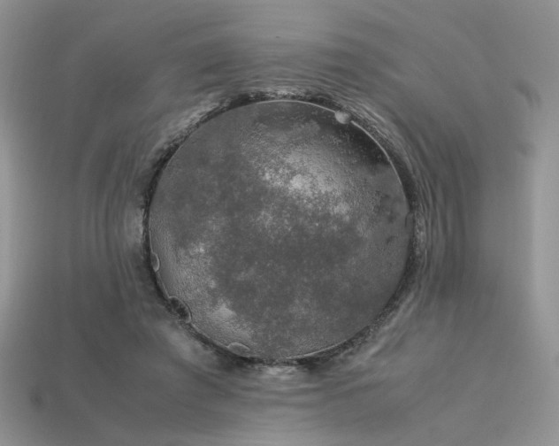 X0000113600401200909181356