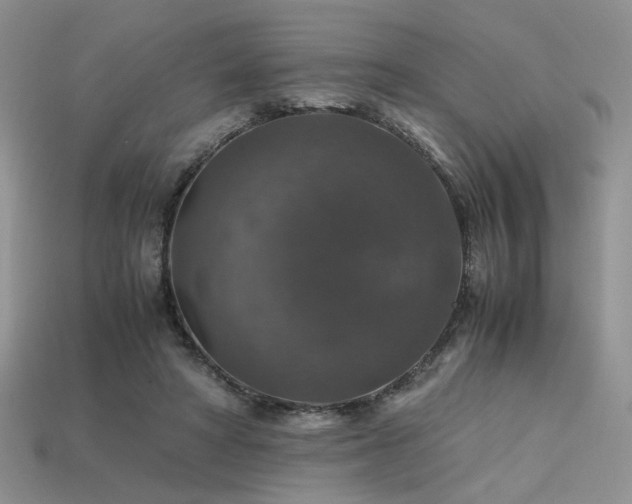 X0000113600402200909181356